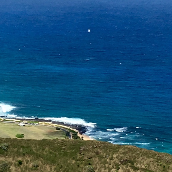 Meet your Posher, Tina - Picture 1 of 1